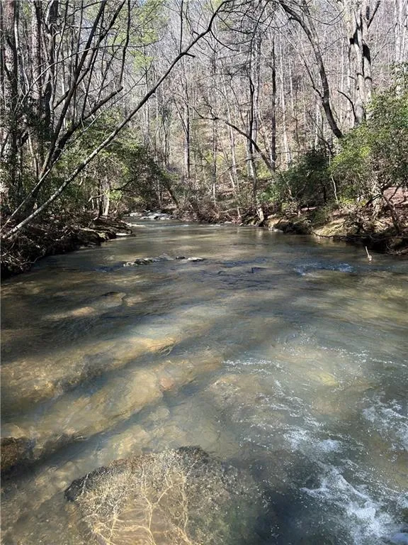 0 Coffee Mill Run Talking Rock, GA 30175