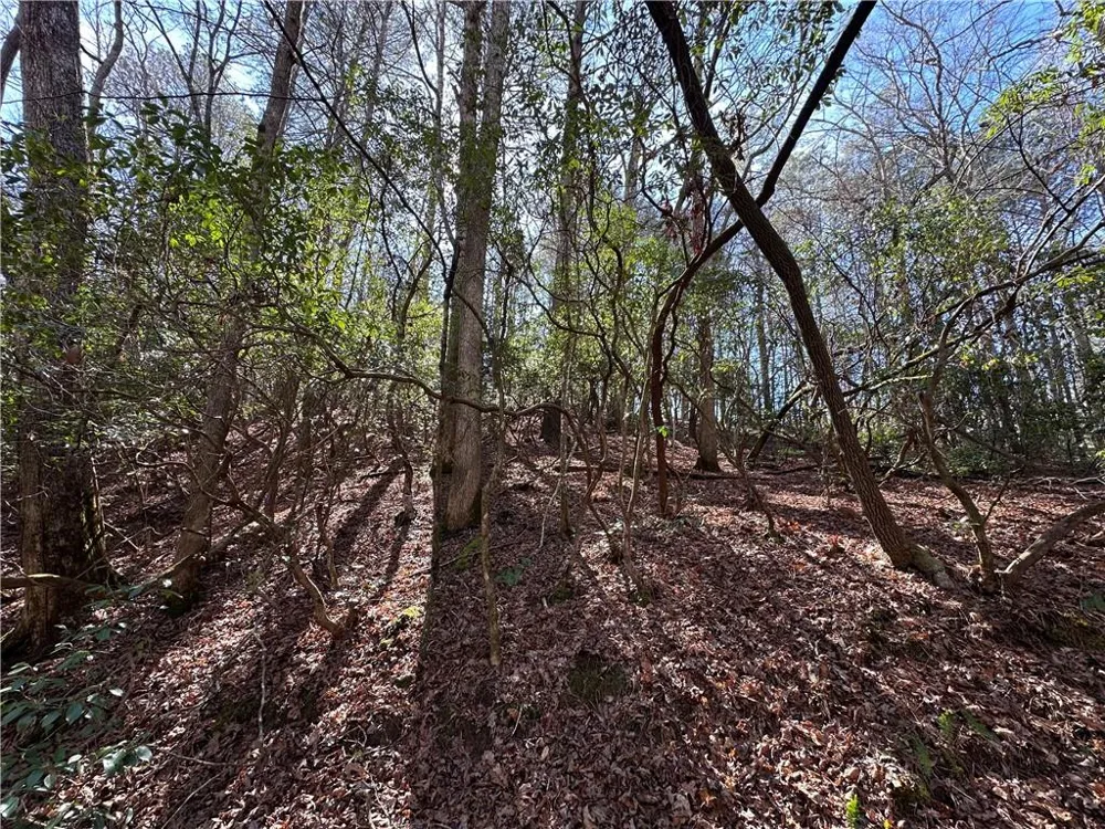 0 Coffee Mill Run Talking Rock, GA 30175