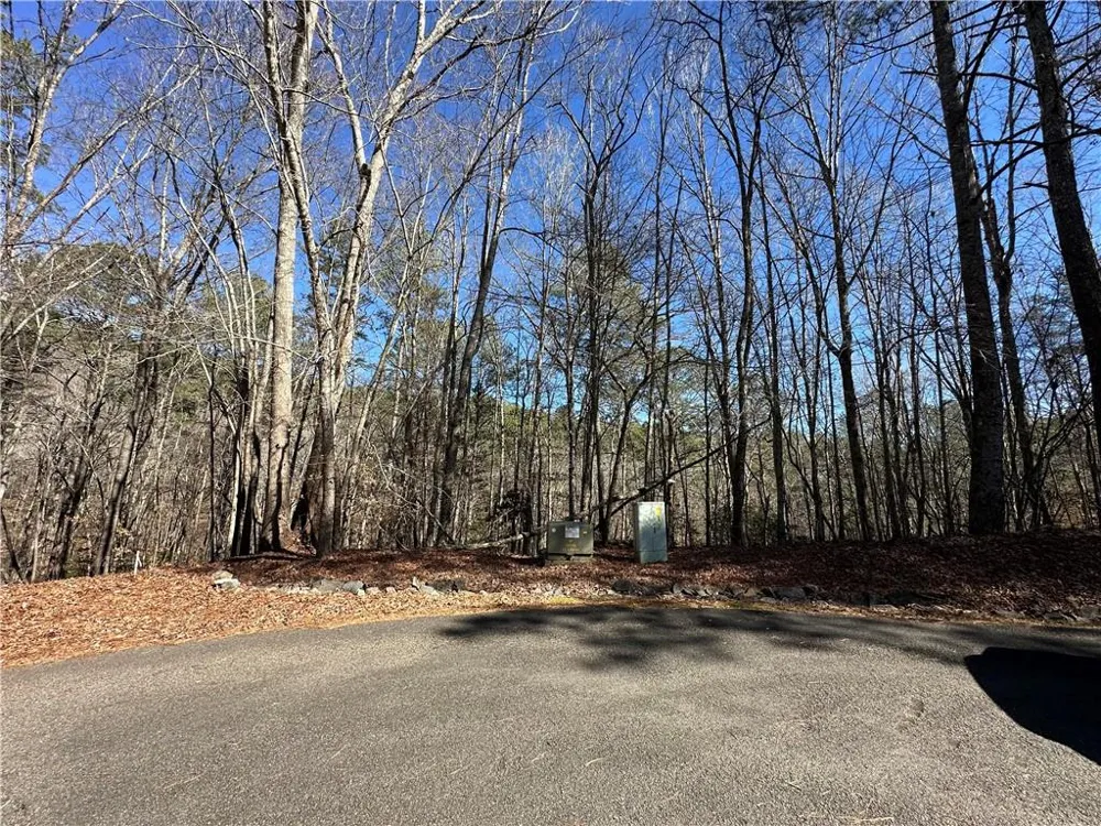 0 Coffee Mill Run Talking Rock, GA 30175
