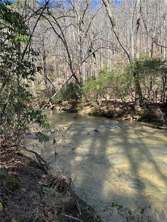 0 Coffee Mill Run Talking Rock, GA 30175