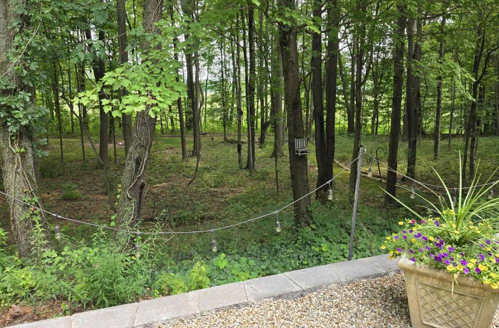 63483 Robbins Lake Road Jones, MI 49061