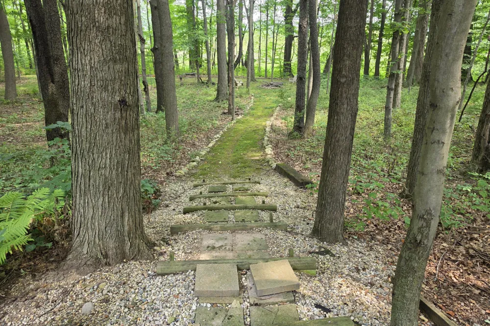 63483 Robbins Lake Road Jones, MI 49061