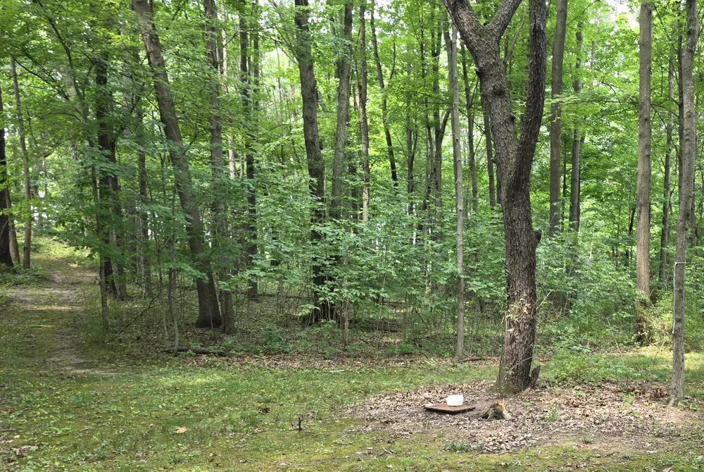 63483 Robbins Lake Road Jones, MI 49061