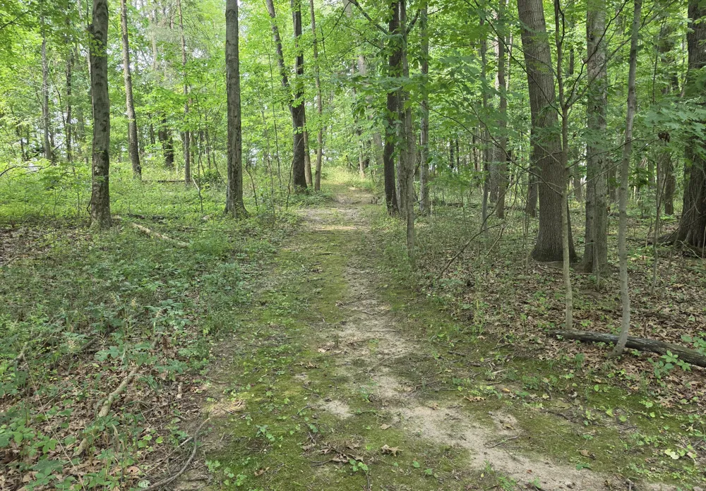 63483 Robbins Lake Road Jones, MI 49061