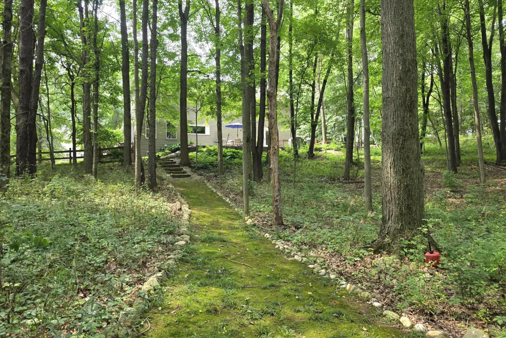 63483 Robbins Lake Road Jones, MI 49061