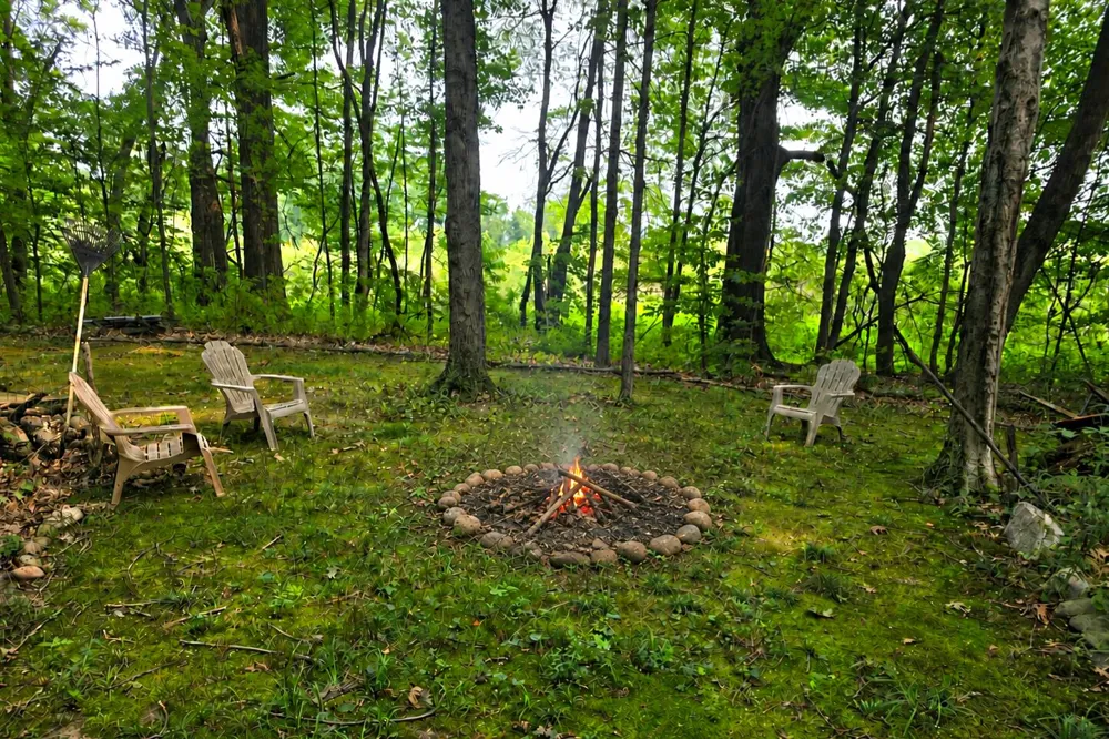 63483 Robbins Lake Road Jones, MI 49061