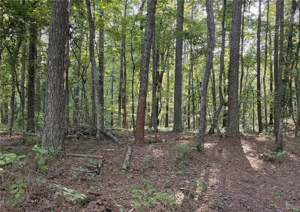 Lot 1 Wildcat Rd Buchanan, GA 30113