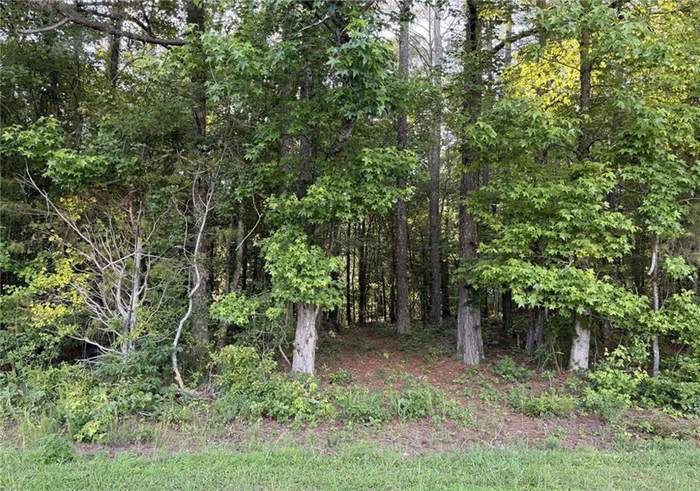 Lot 1 Wildcat Rd Buchanan, GA 30113