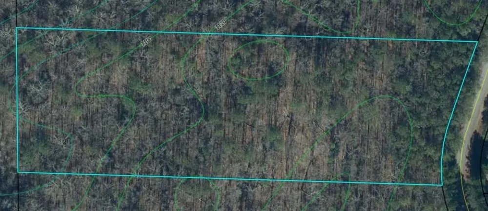Lot 1 Wildcat Rd Buchanan, GA 30113