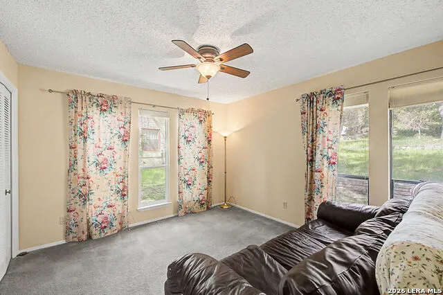 25 SHADY GROVE LN Wimberley, TX 78676