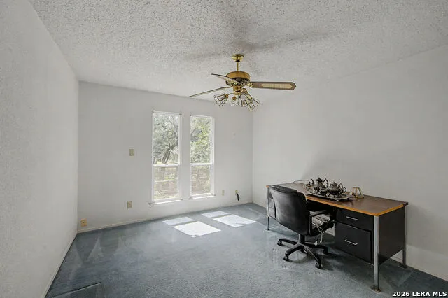 25 SHADY GROVE LN Wimberley, TX 78676
