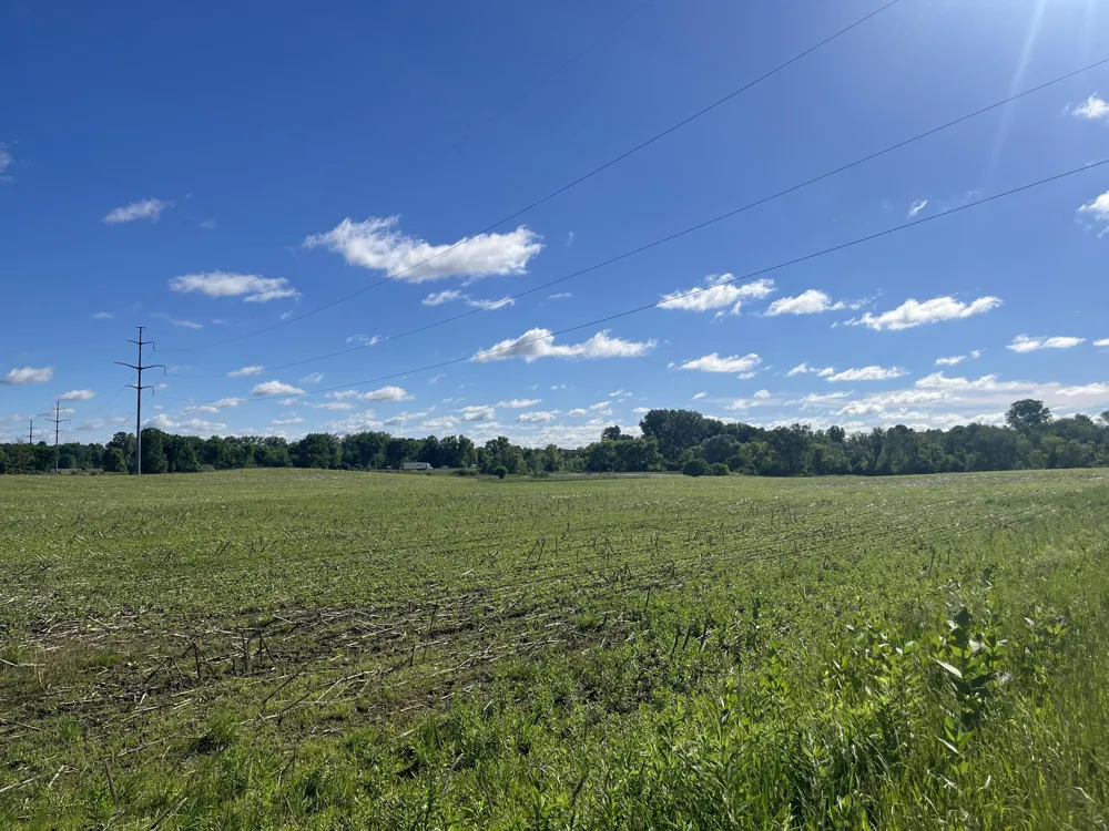 Fahrner Road Chelsea, MI 48118