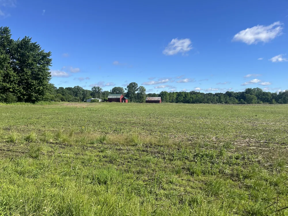 Fahrner Road Chelsea, MI 48118