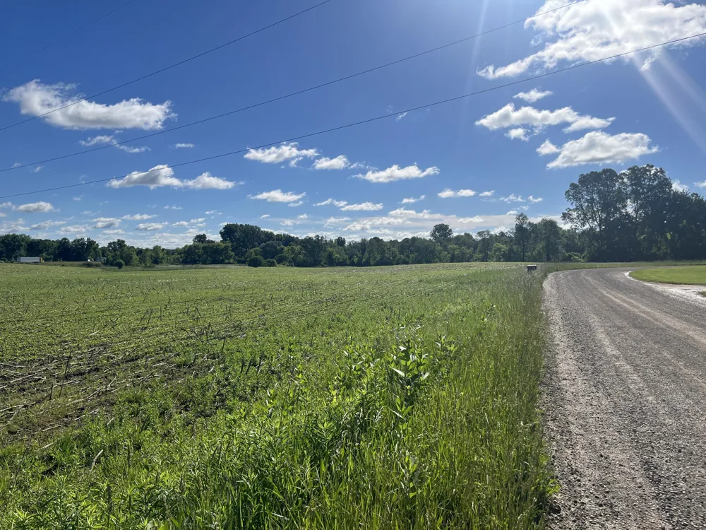 Fahrner Road Chelsea, MI 48118