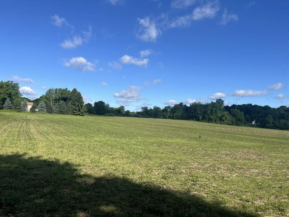 Fahrner Road Chelsea, MI 48118