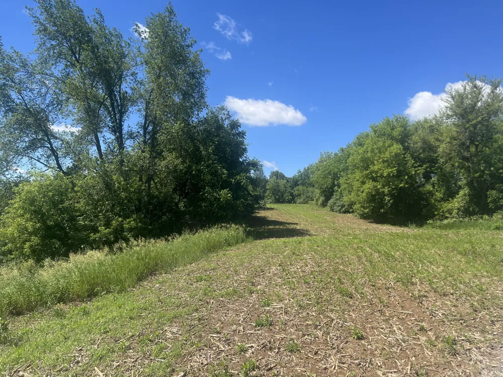 Fahrner Road Chelsea, MI 48118