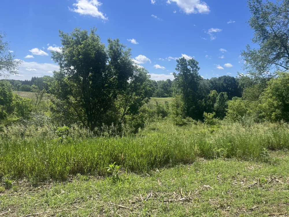 Fahrner Road Chelsea, MI 48118