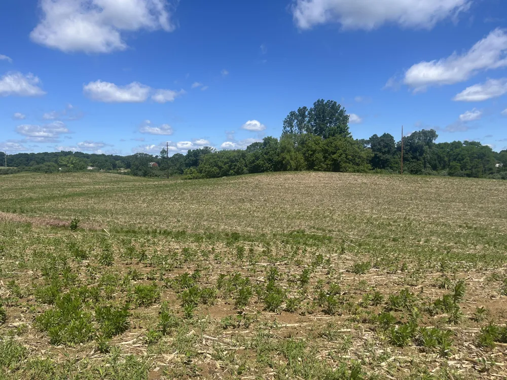 Fahrner Road Chelsea, MI 48118