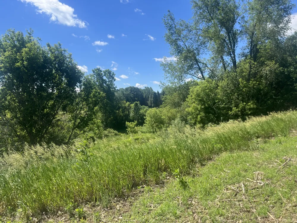 Fahrner Road Chelsea, MI 48118