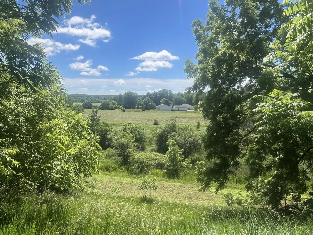 Fahrner Road Chelsea, MI 48118