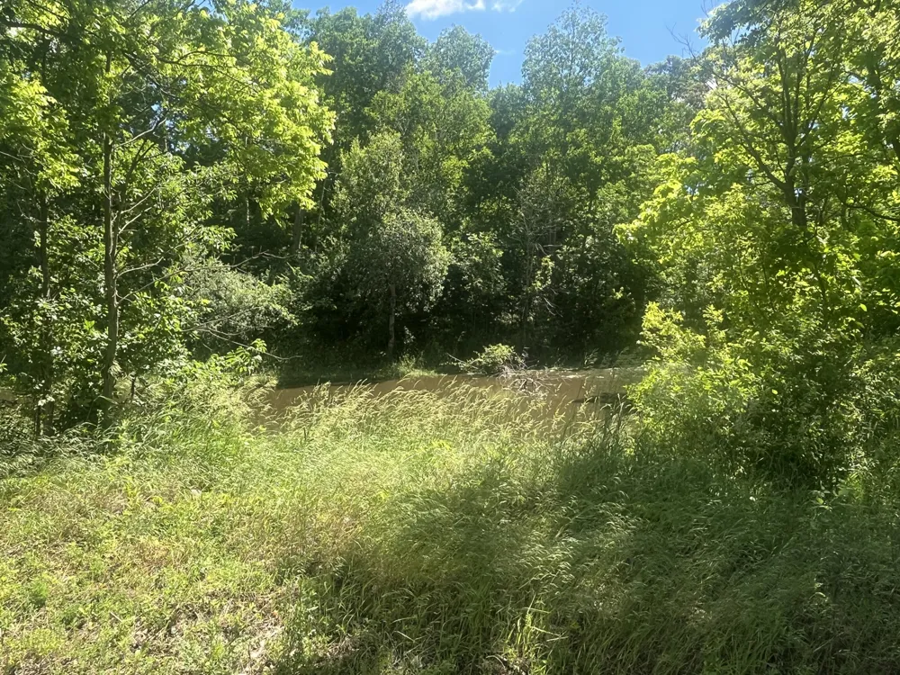Fahrner Road Chelsea, MI 48118