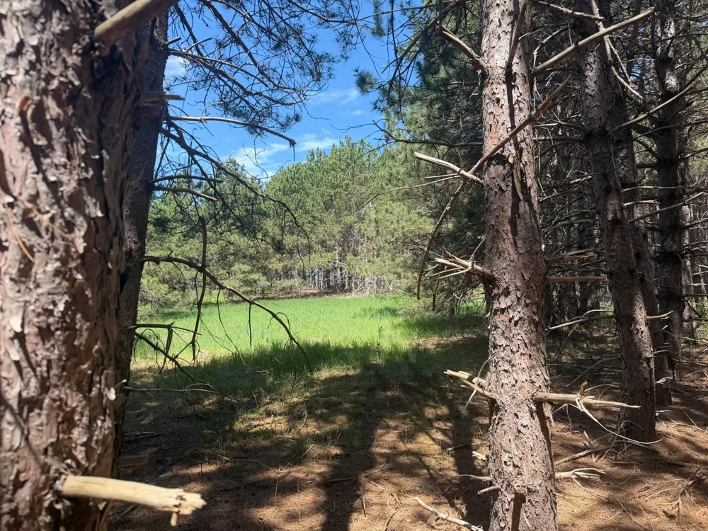 TBD-20AC Sleepy Hollow Road Brainerd, MN 56401