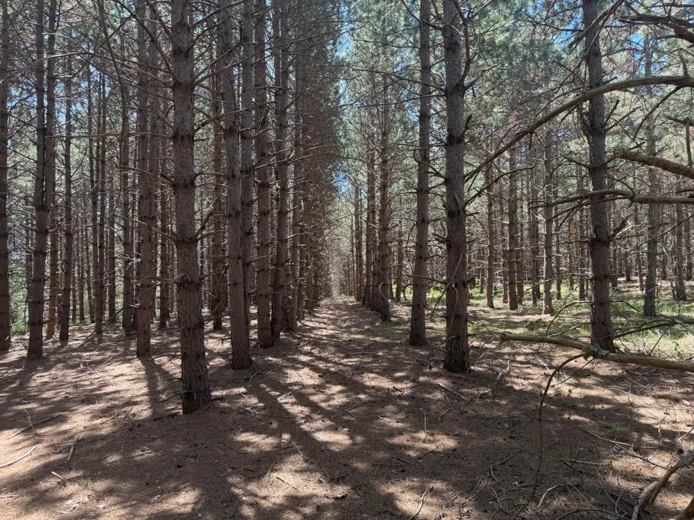TBD-20AC Sleepy Hollow Road Brainerd, MN 56401
