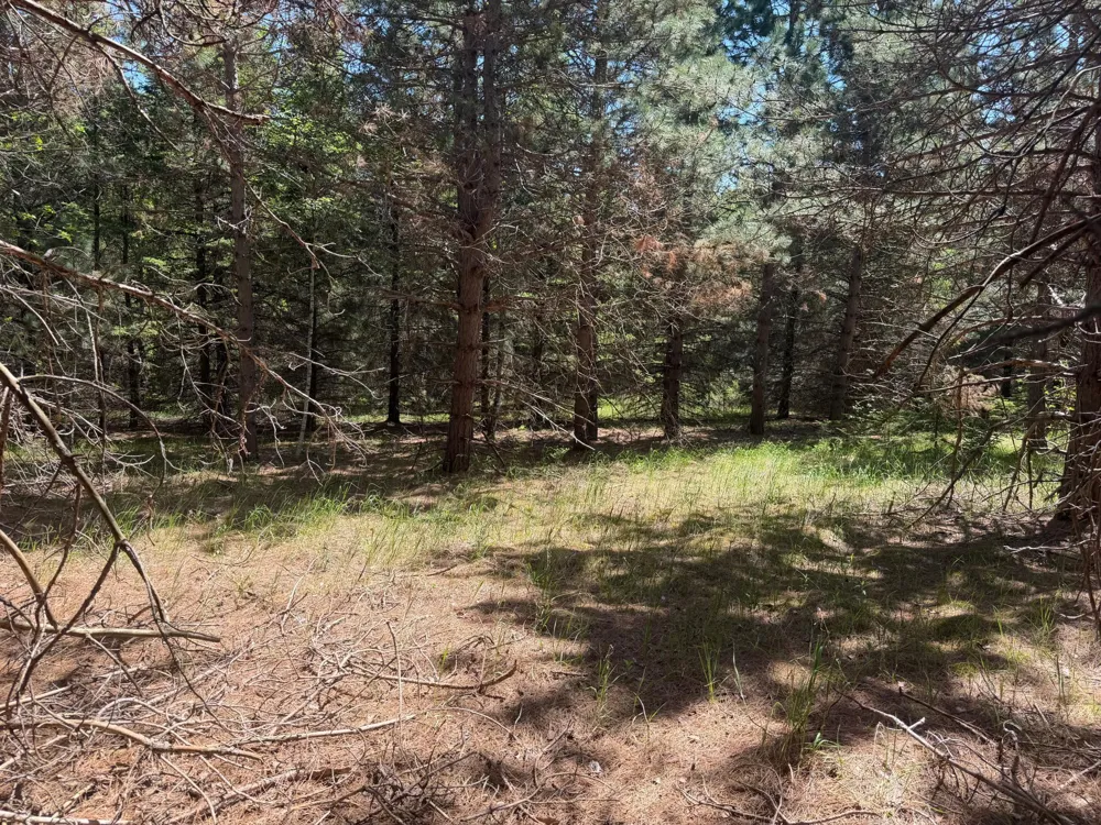TBD-20AC Sleepy Hollow Road Brainerd, MN 56401