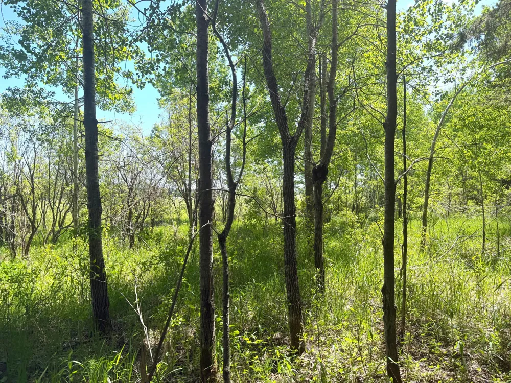 TBD-20AC Sleepy Hollow Road Brainerd, MN 56401