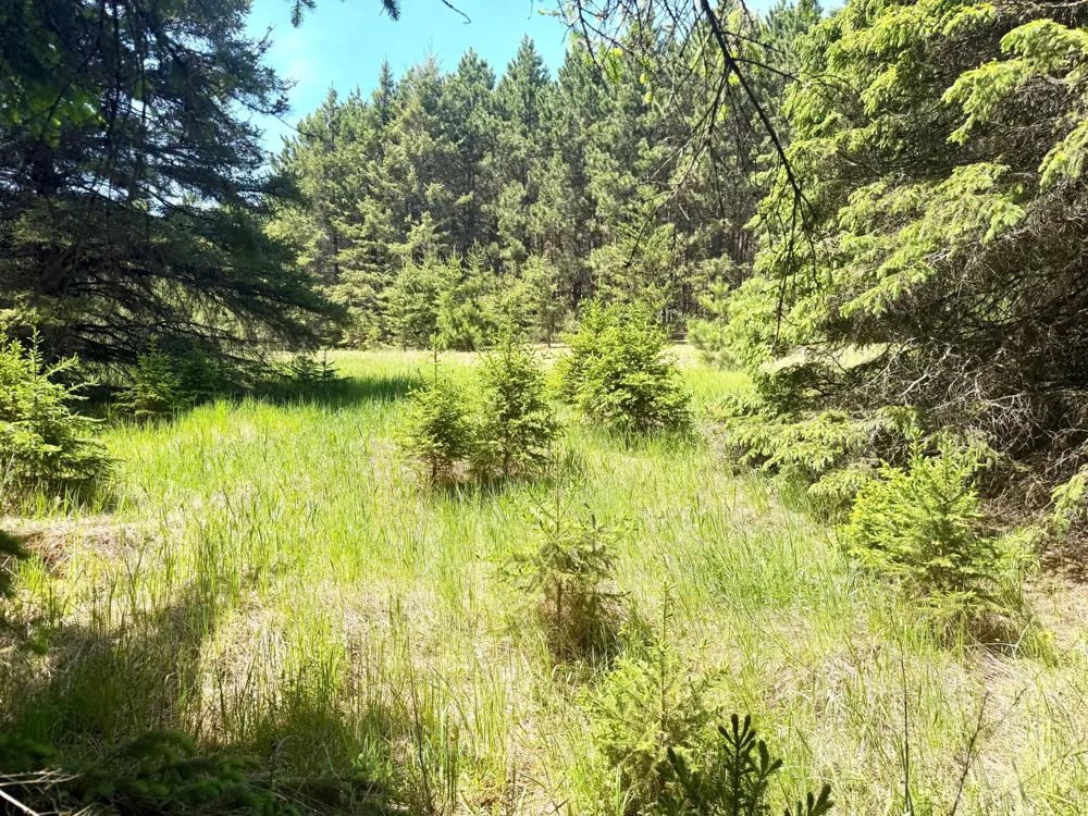 TBD-20AC Sleepy Hollow Road Brainerd, MN 56401