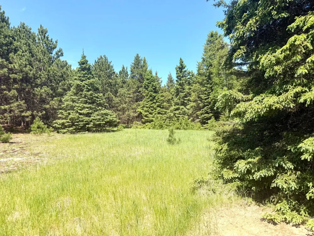 TBD-20AC Sleepy Hollow Road Brainerd, MN 56401