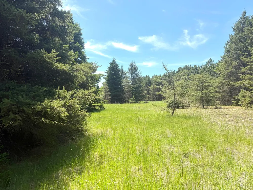 TBD-20AC Sleepy Hollow Road Brainerd, MN 56401