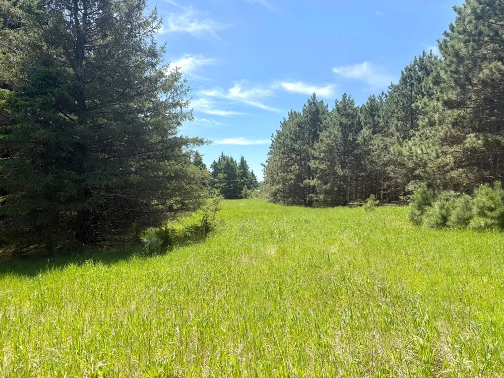 TBD-20AC Sleepy Hollow Road Brainerd, MN 56401
