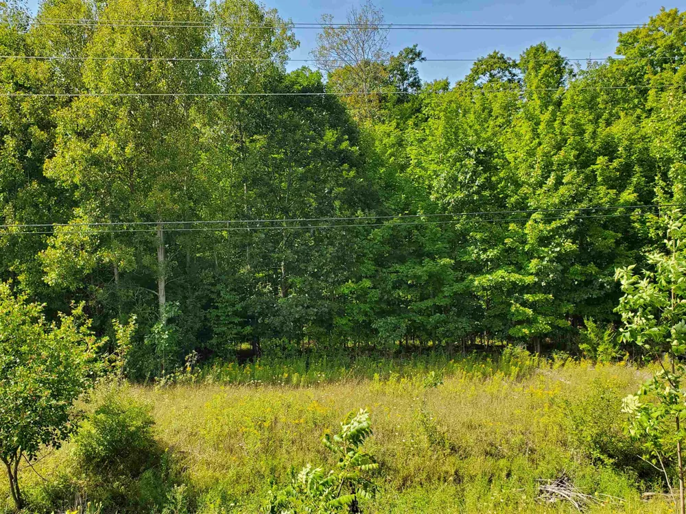 SW Bayshore Drive Bingham Township, MI 49684