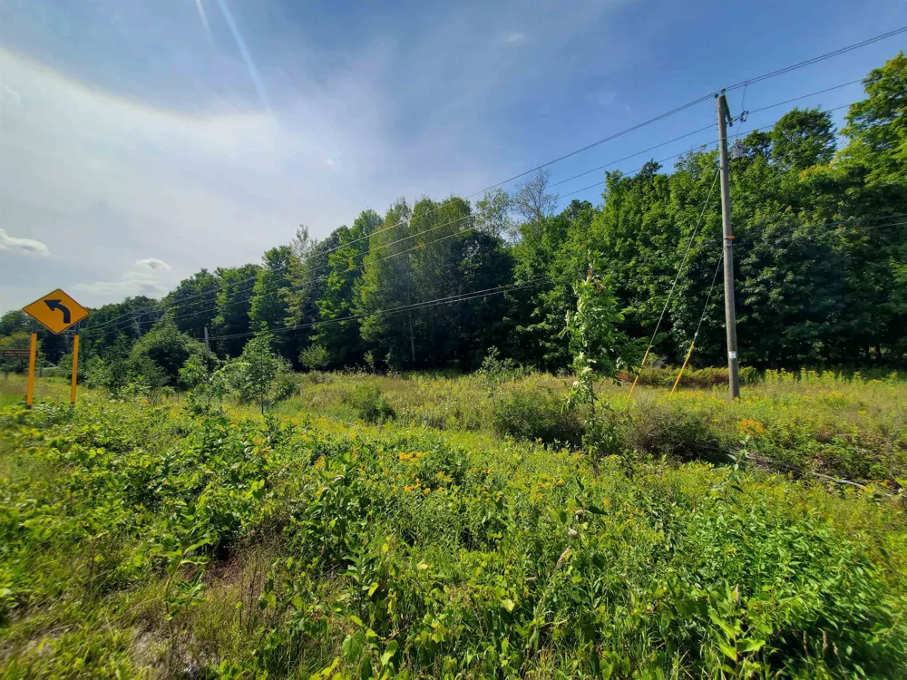 SW Bayshore Drive Bingham Township, MI 49684