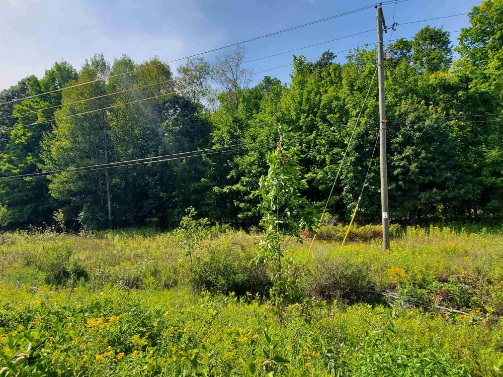 SW Bayshore Drive Bingham Township, MI 49684