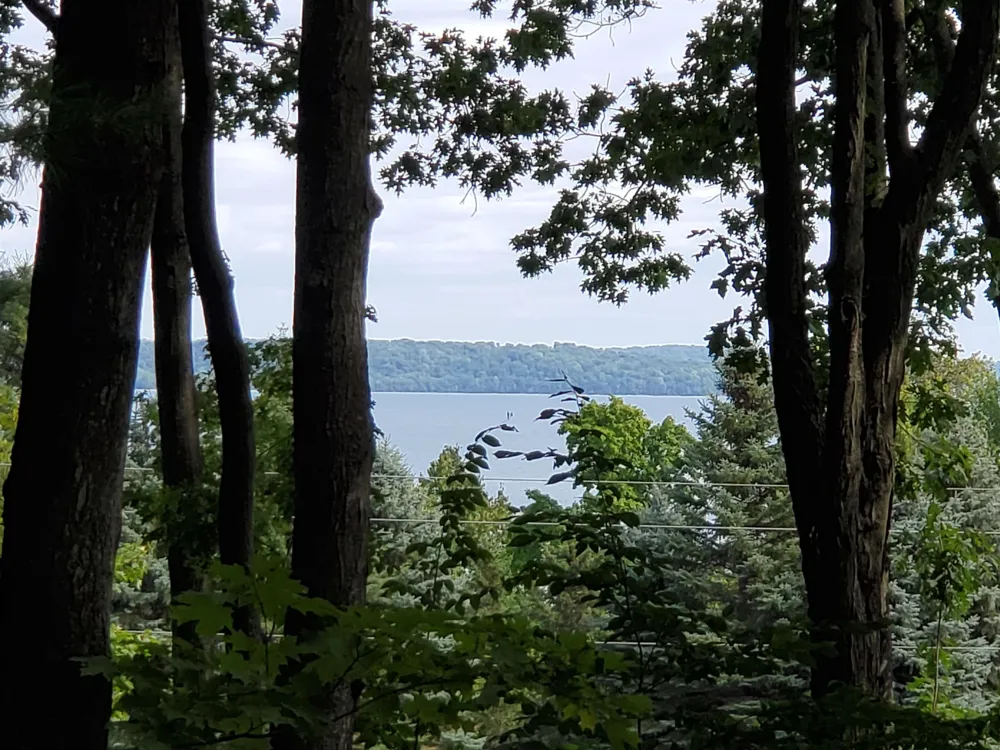 SW Bayshore Drive Bingham Township, MI 49684