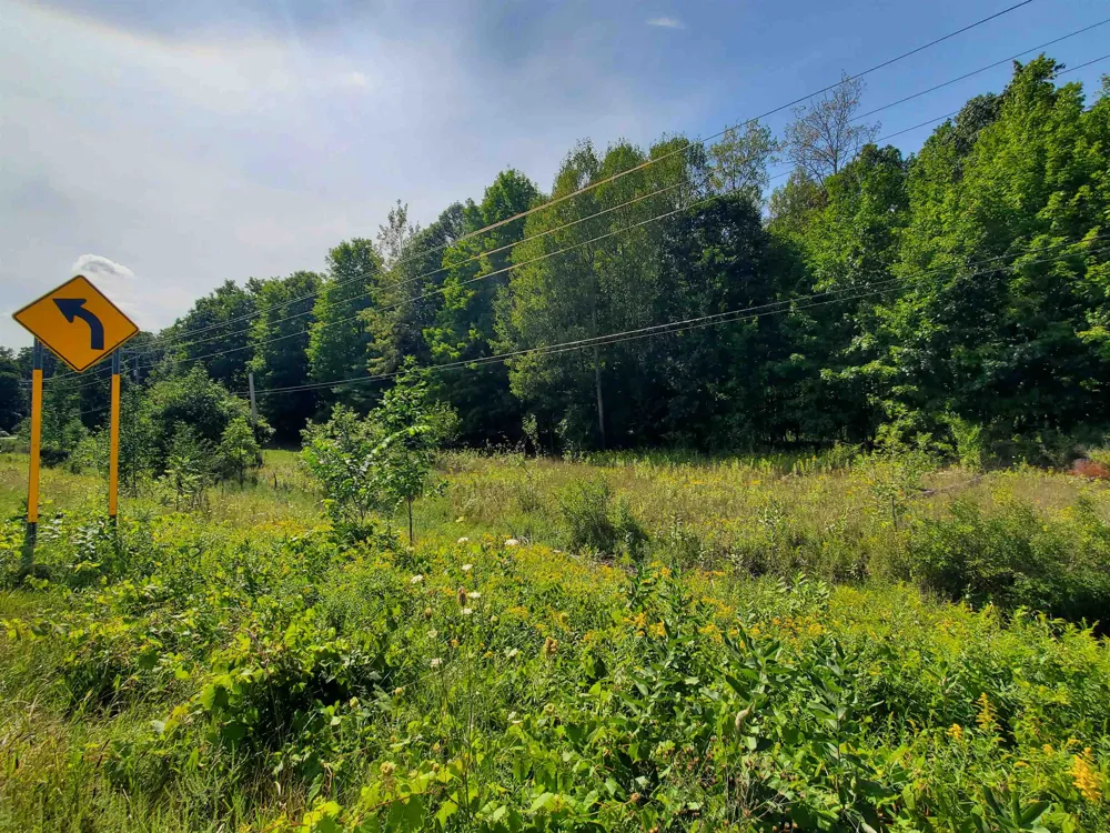 SW Bayshore Drive Bingham Township, MI 49684
