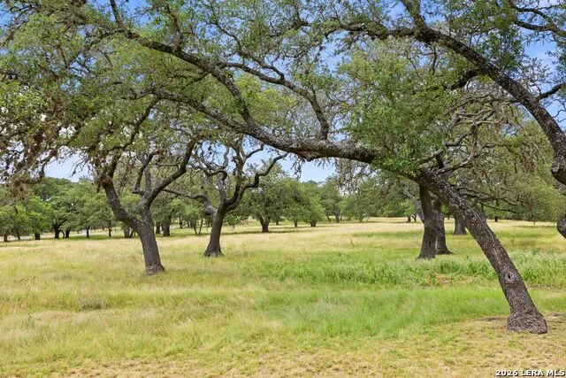 271 & 173 BIG CREEK RD Blanco, TX 78606