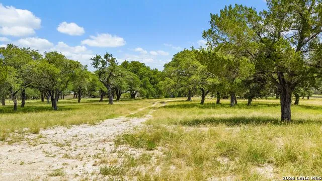 271 & 173 BIG CREEK RD Blanco, TX 78606