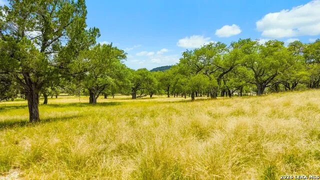 271 & 173 BIG CREEK RD Blanco, TX 78606