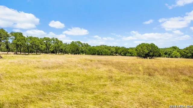 271 & 173 BIG CREEK RD Blanco, TX 78606
