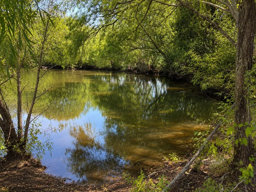 County Road 1140 Celeste, TX 75423