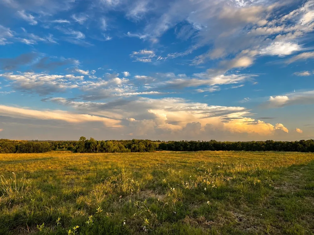 County Road 1140 Celeste, TX 75423