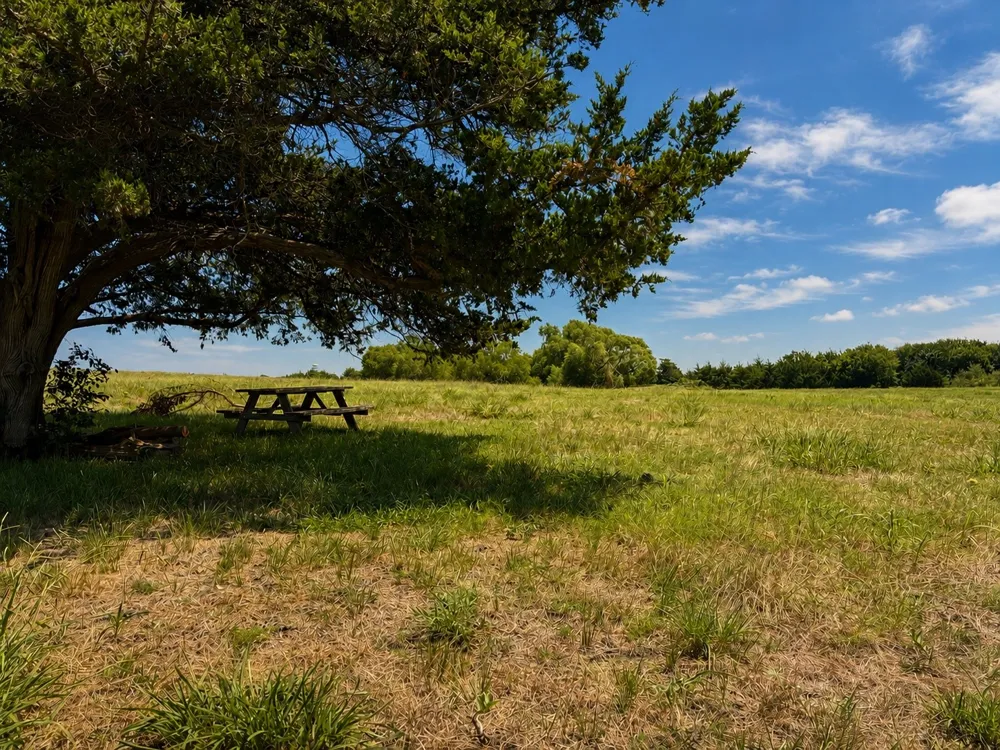 County Road 1140 Celeste, TX 75423