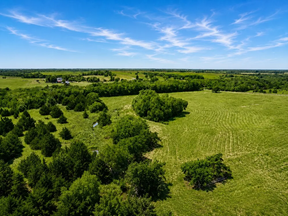 County Road 1140 Celeste, TX 75423