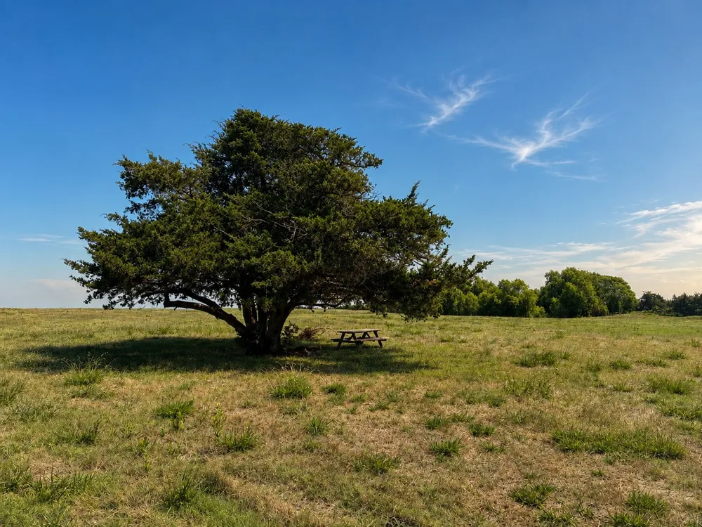 County Road 1140 Celeste, TX 75423