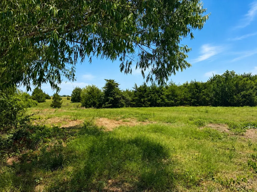 County Road 1140 Celeste, TX 75423