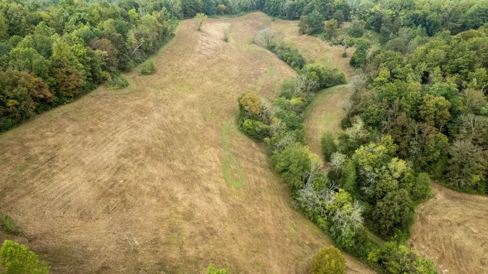 1 Noah Rd Beechgrove, TN 37018