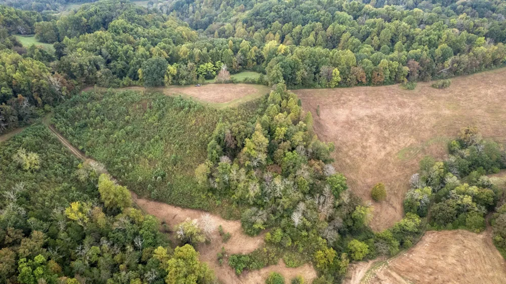 1 Noah Rd Beechgrove, TN 37018